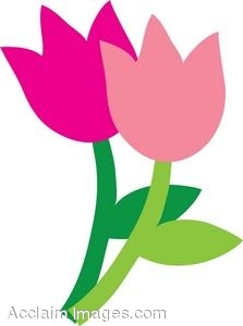223x300 Clipart Tulip