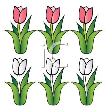 350x350 Tulip Flower Clip Art Free Clipart Panda