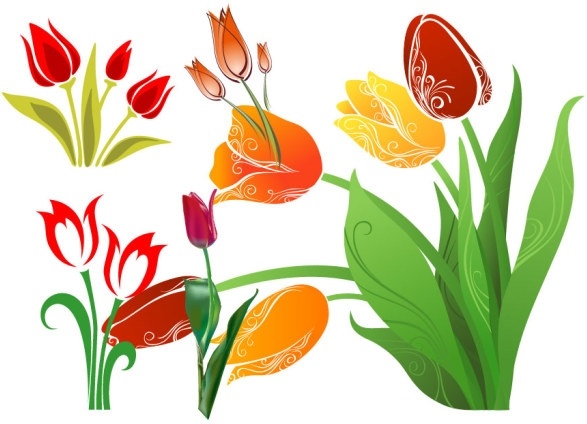 587x424 Tulip Vector Free Vector In Encapsulated Postscript Eps ( Eps
