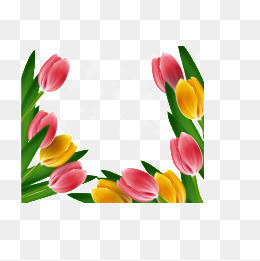 260x261 Tulip Border, Flowers, Bright, Cartoon Png Image For Free Download