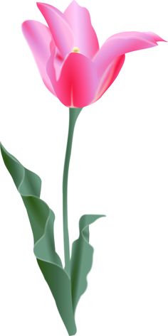 236x473 Gd Ss Tulips2.png Clip Art Flower Clipart, Clip