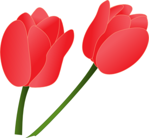298x276 Top 56 Tulip Clip Art