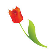170x170 Tulip Clip Art