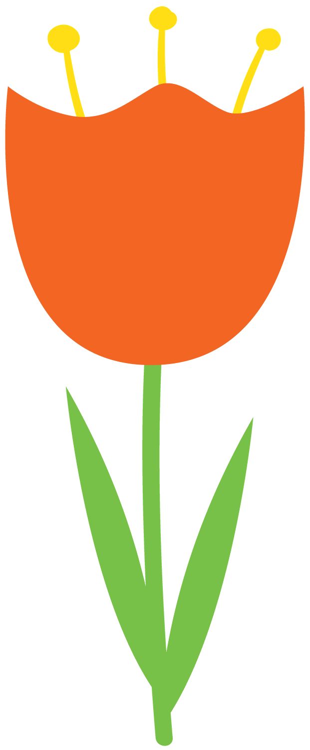 621x1500 Tulip Clipart Orange