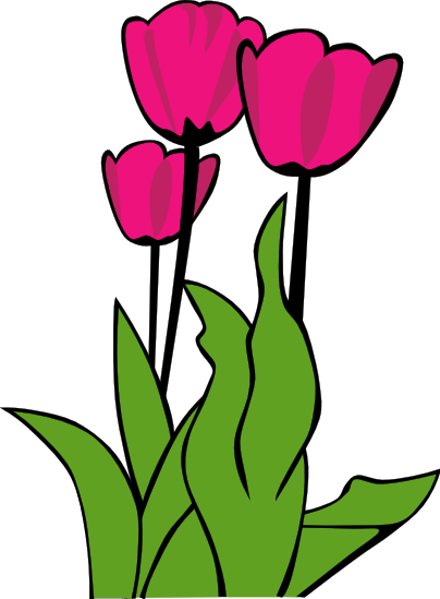 404x549 Tulip Flower Clipart 4 404x549 Clipart Panda