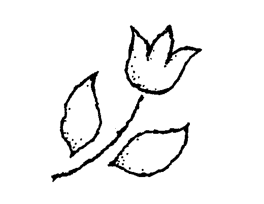 520x401 Free Black And White Tulip Clipart