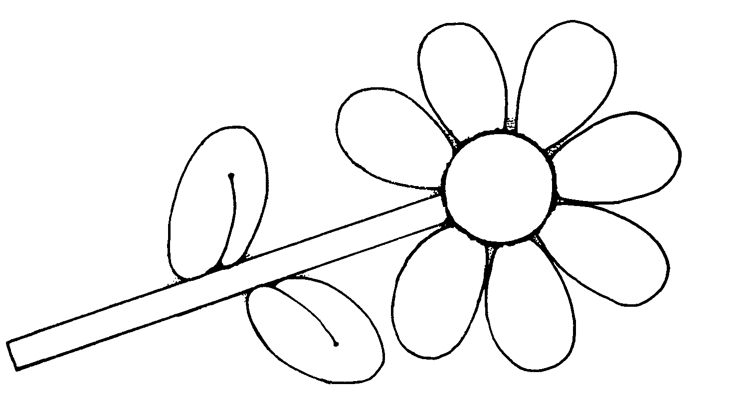 1512x824 Flower Clipart Black N White