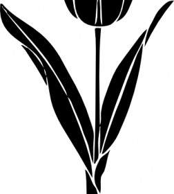 252x280 Tulip Flower Background Vector Misc Free Vector Free Download