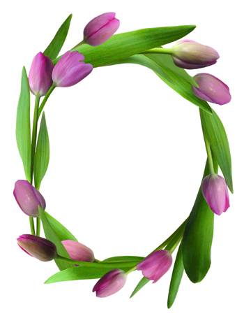 350x452 Free Tulip Clipart Borders