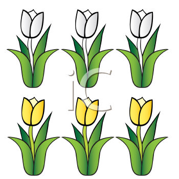 350x350 Royalty Free Tulip Clip Art, Flower Clipart