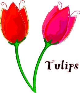 260x300 Clip Art Tulip Clipart