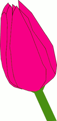 188x400 Free Tulip Clipart