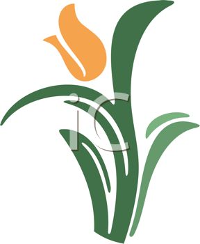 288x350 Orange Tulip Flower Graphic