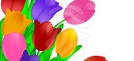 272x125 Spring Flower Backgrounds Clipart Collection On Flower Clip Art