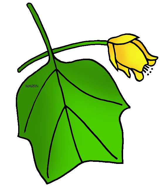 556x648 Tulip Clip Art