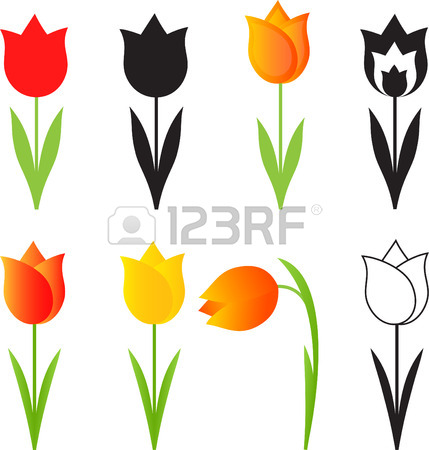 429x450 Tulip Clip Art