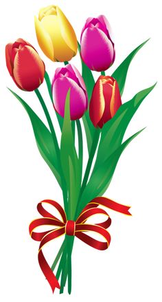236x439 Flower Clipart 60 Png