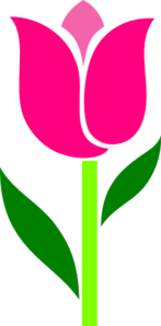 147x298 Tulip Clip Art