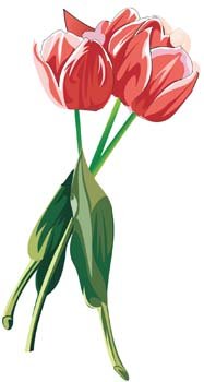 187x350 Tulip Flower 22, Clip Art