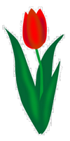 100x200 Tulip Png Images Free Download
