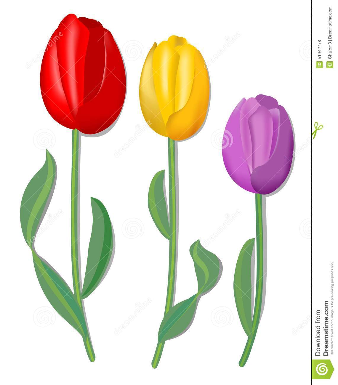 1141x1300 Tulip Clipart Three Flower