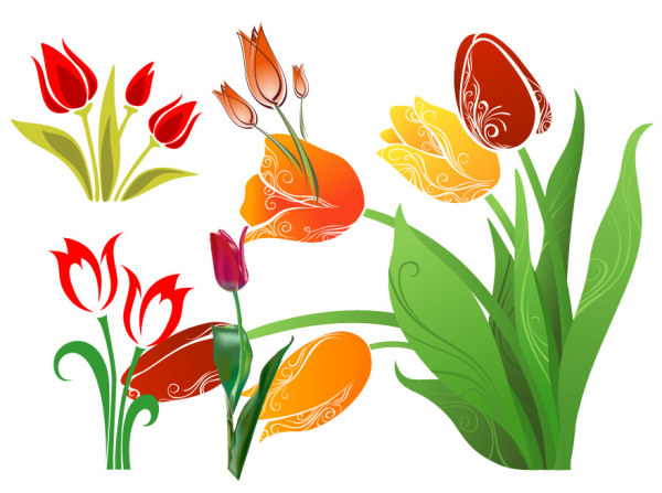 600x447 Tulip Vector Graphic Graphic Hive