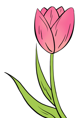 283x400 How To Draw A Tulip Really Easy Drawing Tutorial