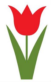 167x271 Tulip Clipart