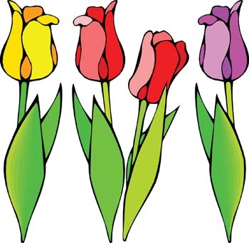 350x341 Tulip Clipart Tulip Flower