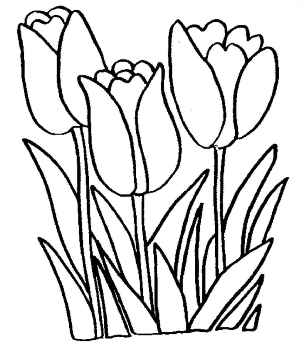1048x1200 Yellow Tulip Clipart Image