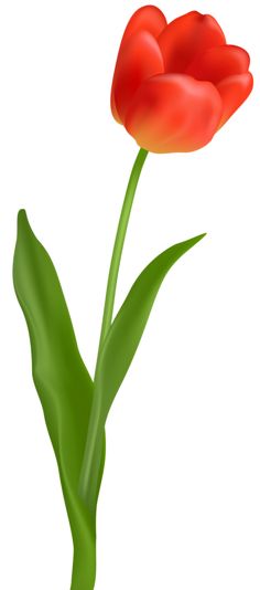 236x534 Clipart Picturesflowers Png