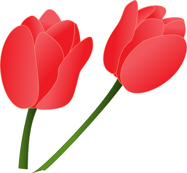 600x555 Tulip Cartoon Images Allofpicts