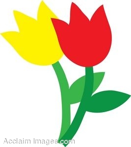 267x300 Clip Art Of Yellow And Red Tulips
