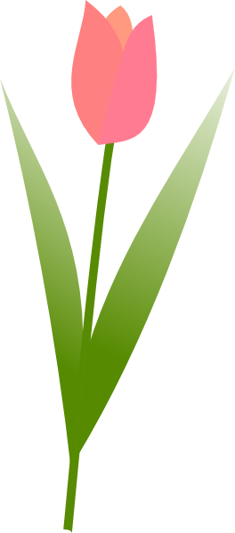 264x599 Free Tulip Clipart