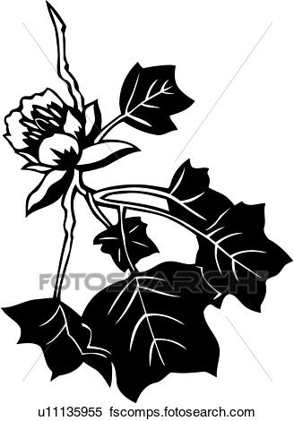 328x470 Clipart Of , Autumn, Fall, Leaf, Leaves, Seasons, Tulip Tree