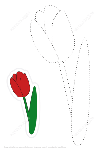 339x480 Draw A Tulip By Tracing Dashed Line And Color Free Printable