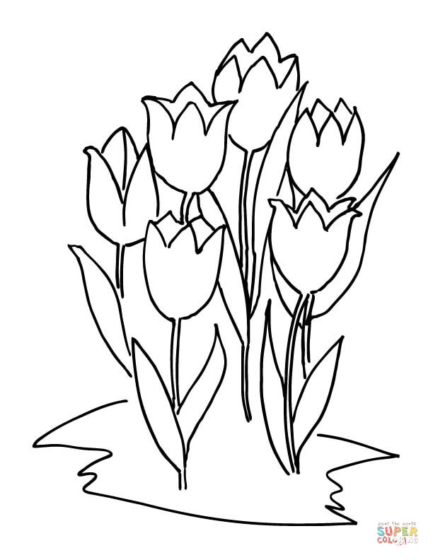 612x792 Six Tulips Coloring Page Free Printable Coloring Pages