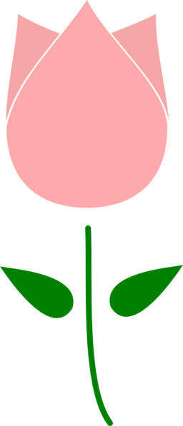 256x597 Top 76 Tulip Flower Clip Art