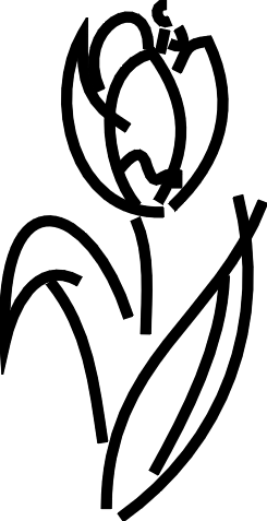 245x477 A Perfect World