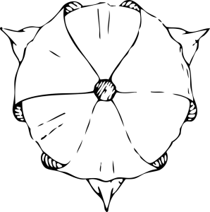 298x300 Tulip Clip Art Download