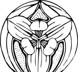 252x233 Tulip Flower Clip Art Free Vectors Ui Download