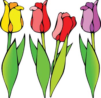 350x341 Tulip Flower Clip Art Free Free Clipart Images 2 Image