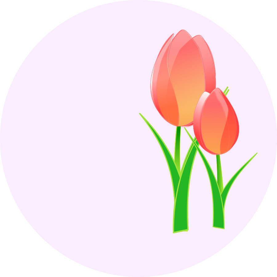 900x900 Tulip Flower Clip Art Free Free Clipart Images Image