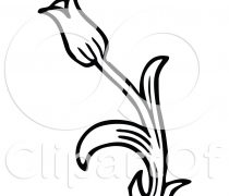 210x180 Clip Art Tulip Clip Art Black And White