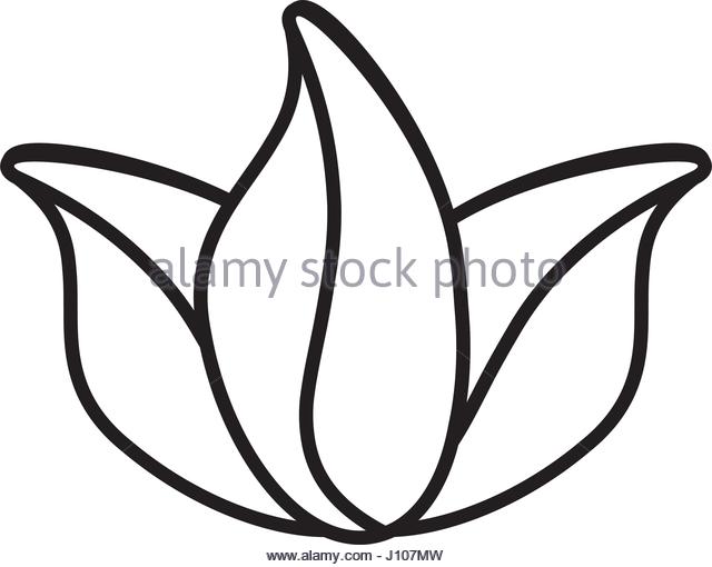 640x510 Flower Decoration Nature Icon Outline Stock Photos Amp Flower