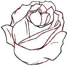224x224 Image Result For Tulip Drawing Outline Clip Art