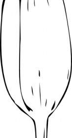 147x280 Tulip Flower Background Vector Misc Free Vector Free Download