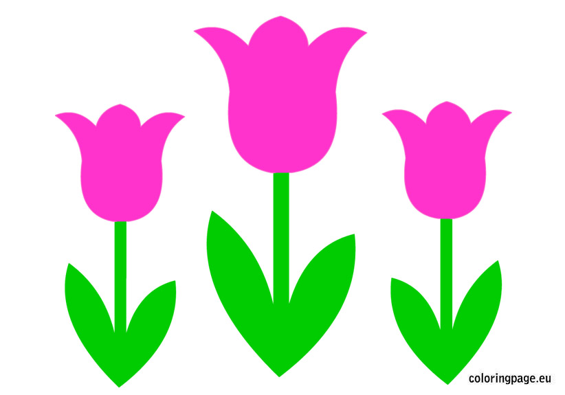 Tulip Outline | Free download on ClipArtMag