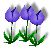 172x165 Cliparts Purple Tulips Many Interesting Cliparts