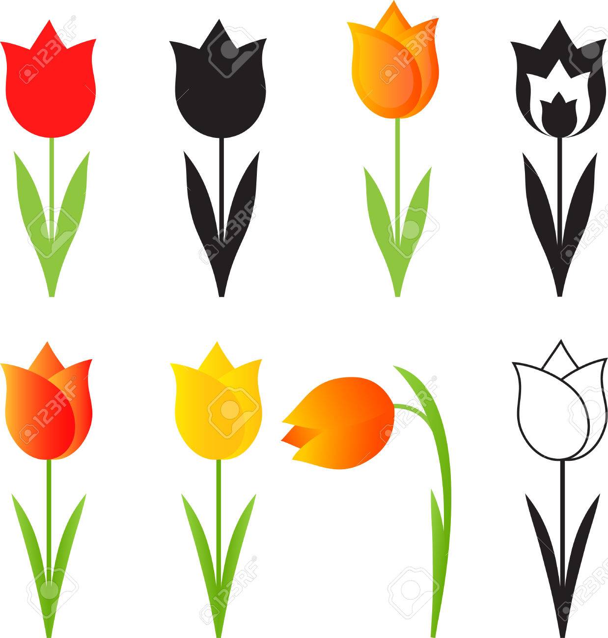 1238x1300 Isolated Spring Flowers Vectors, Tulip Vectors Royalty Free